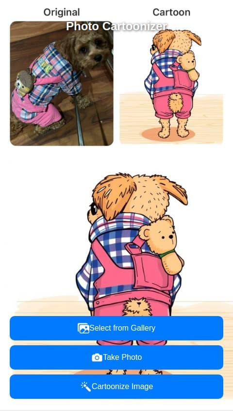 Photo cartoonizer