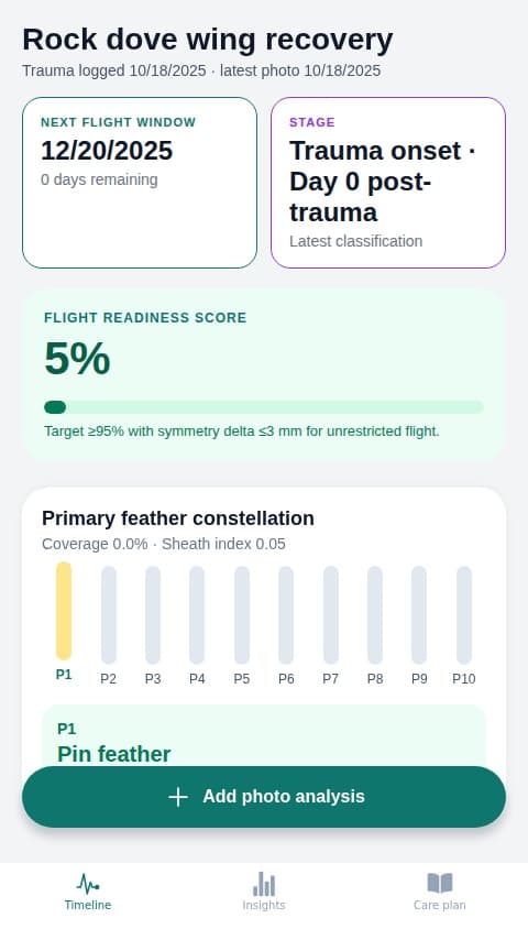 Pigeon Wing Timeline