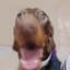 jarrad's profile picture