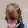 jarrad's profile picture