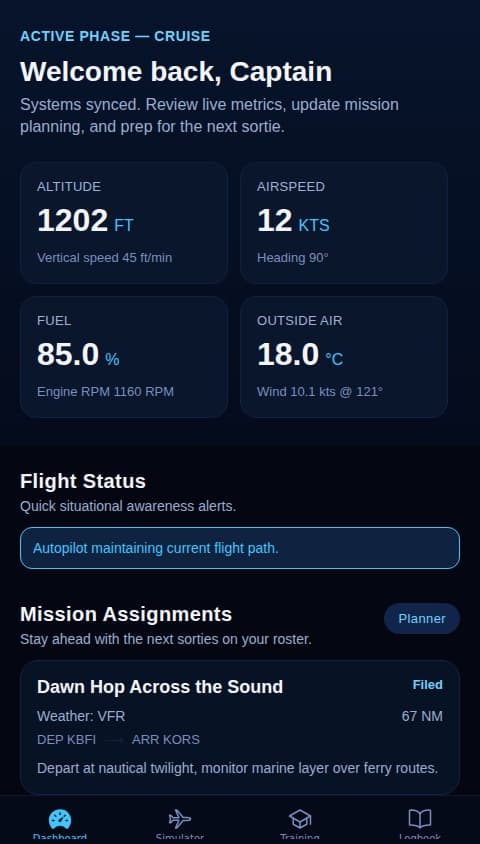 Pilot simulator