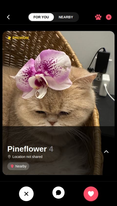 Pet Match