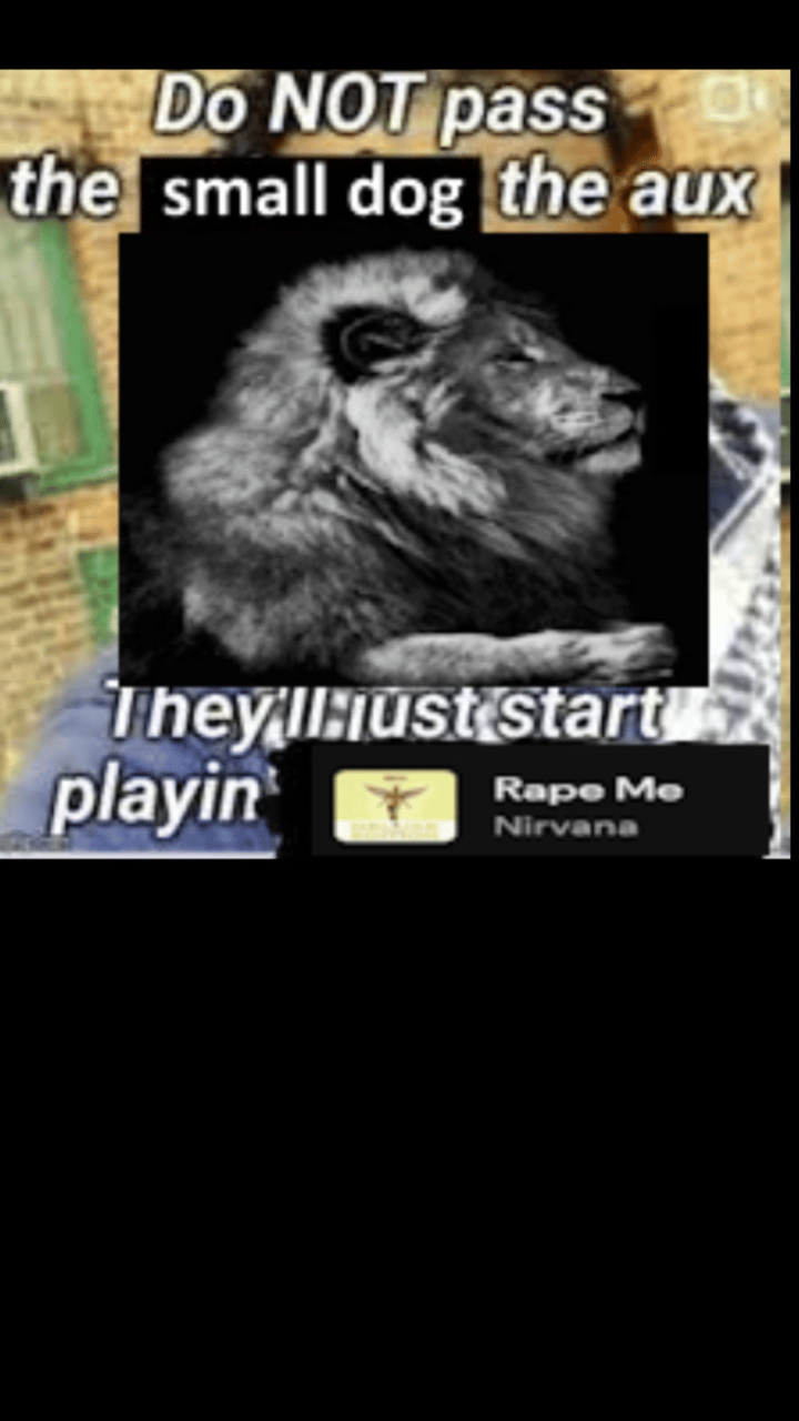 Put this in all categories available 