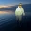 dlitesting748848's profile picture