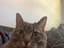 holycanolies123's profile picture