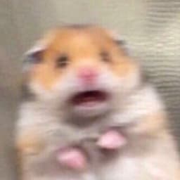 @benn's profile picture