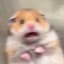 benn's profile picture