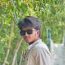 sardar's profile picture
