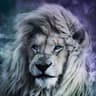 krish's profile picture