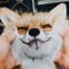 alex_turnbo's profile picture