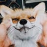alex_turnbo's profile picture
